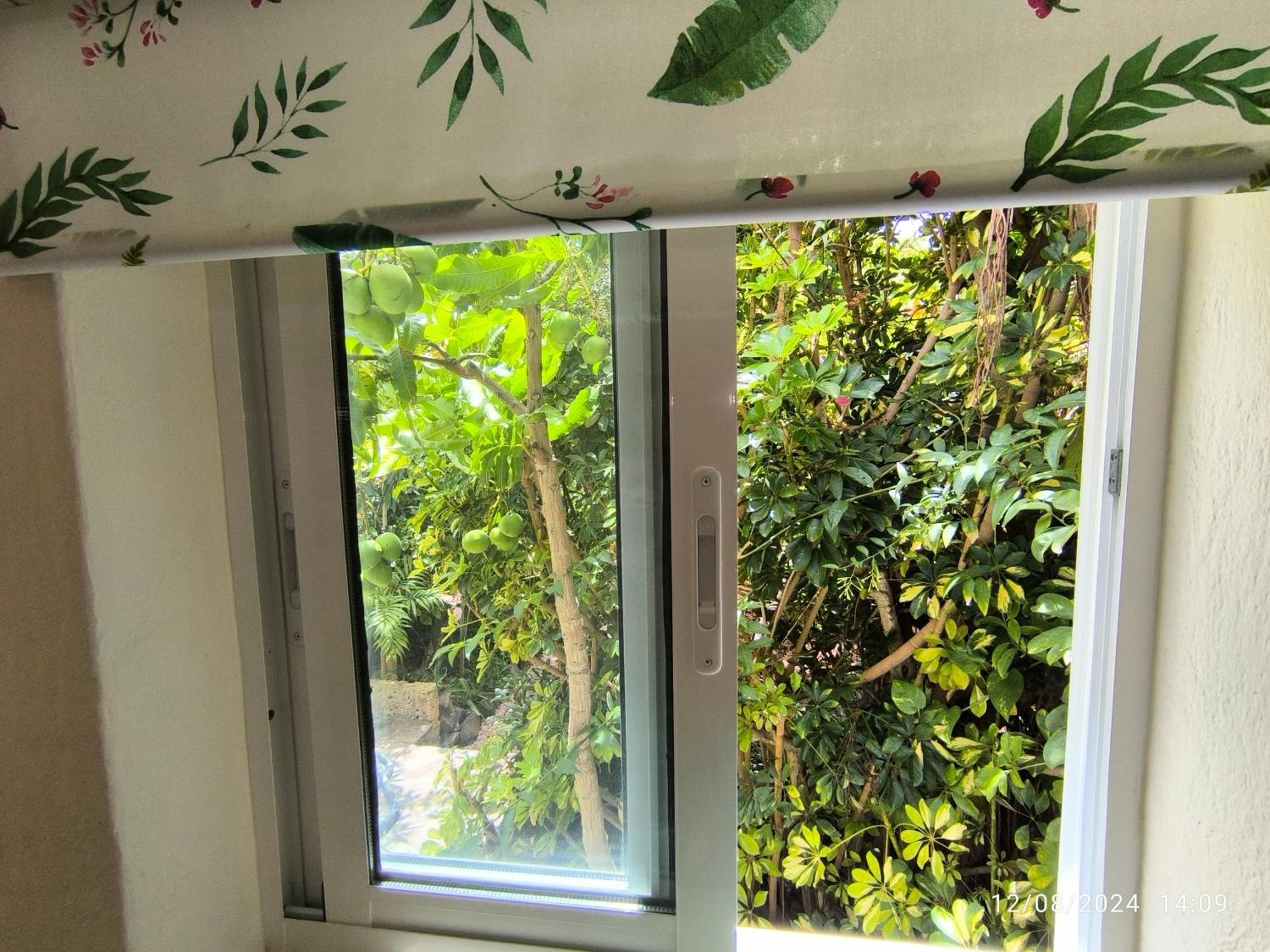 Casa Flora Loft Studio Sauzal Zewnętrze zdjęcie